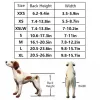 Dog Wheelchairs for Dog Leg Paralyzed Weakness - Dogs Wheelchairs Trading