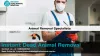 Dead Animal Removal Ashville