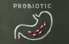Role of Probiotics in Women for UTI Treatment