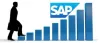 SAP Functional Consultant 