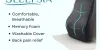 Sleepsia The Best Lumbar Pillow For Back Pain Relief