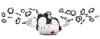 online casino canada