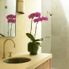 How to grow 12+ Orchid types for exquisite home decor? (Buy now) | Building and Interiors