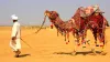 Jaisalmer hotel deals