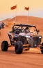 Desert Safari in Dubai: Best Experience This December