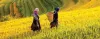 Top Outstanding Eco Destinations For Vietnam Tours