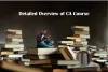 Detailed Overview of a Chartered Accountant Course.