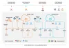 Product Engineering Services | Hakuna Matata solutions