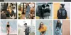 How To Embed Instagram Feed On Website? - 2 Methods