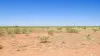 5000 sq yard Commercial Plot/Land In Dholera Smart City