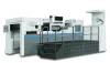  Automatic Hot Foil Stamping Machine | Stripping and Blanking | Robus India 