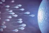 Difference Between Azoospermia and Oligospermia