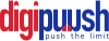 Digital Marketing Company Bangalore India | Digital Agency | Digipuush