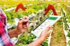 The digital agriculture industry has evolved through hyperconnectivity and cloud computing