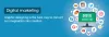 Best SEO Company in Dehradun