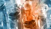 What Is The Main Functionality Of Dimethylaminoethyl Chloride Hydrochloride?