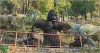 Dino Valley Islamabad - Travel Domains