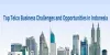 Top Telco Business Challenges and Opportunities in Indonesia