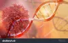 Cancer and Treatments