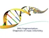 dna fragmentation in delhi