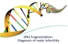 dna fragmentation test in delhi