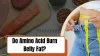 Do Amino Acids Burn Belly Fat?