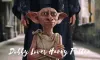 Interesting Facts About Dobby Harry Potter That You Never Know!
