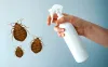 Does Rubbing Alcohol Kill Bed Bugs? Try This Tip