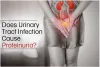 Does Urinary Tract Infection Cause Proteinuria?