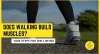 Does Walking Build Muscle? Ways to Power up Your Walks