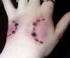 Dog Bite Injury Lawyers Palm Springs
