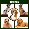 4 Common Problems with Dogs and How to Handle Them