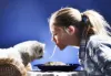 DOG NUTRITION FROM NOSE TO TAIL - petsfoodnutrition