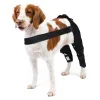 Dog Brace For Torn ACL Post Surgery Injury - Aboub B2B Marketplace China