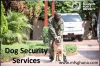 Dog Security