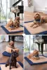 dog travel accessories online