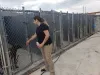 Dog Training - Dog Gone Happy Training