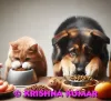 Is it normal for pets to go without eating or drinking for a day?