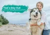 Story of Dog a well spend day at Capetown.