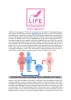 Become an Egg Donor | Life IVF Center | Donating Eggs in NC