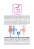 Life IVF Center: Egg Donor Program & Egg Donation Services