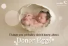 Things You Probably Didn't Know About Donar Eggs - Cordlife India