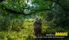 Book Dooars Package Tour with Hollong Bungalow - Best Offer from NatureWings