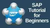 Job Outlook for an SAP FICO Consultant | SAP Course
