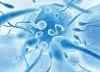 Low Sperm Count Treatment