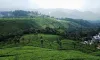 Study groups: Plan Kerala tour with Accredited Kerala Tour Operator