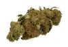 Pre-Rolled Joints Archives