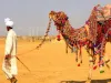 Camel Safari In Jaisalmer