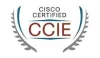 How can CCIE training give wings to your career?