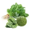 organic spinach powder, bulk organic spinach powder, organic spinach powder supplier